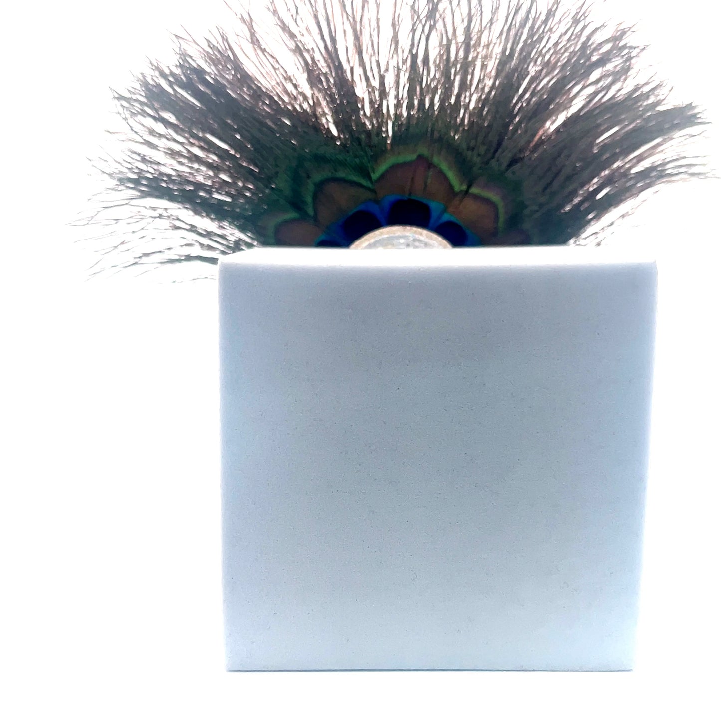 925 Silver Peacock Feather Stick – Krishna Puja & Decoration